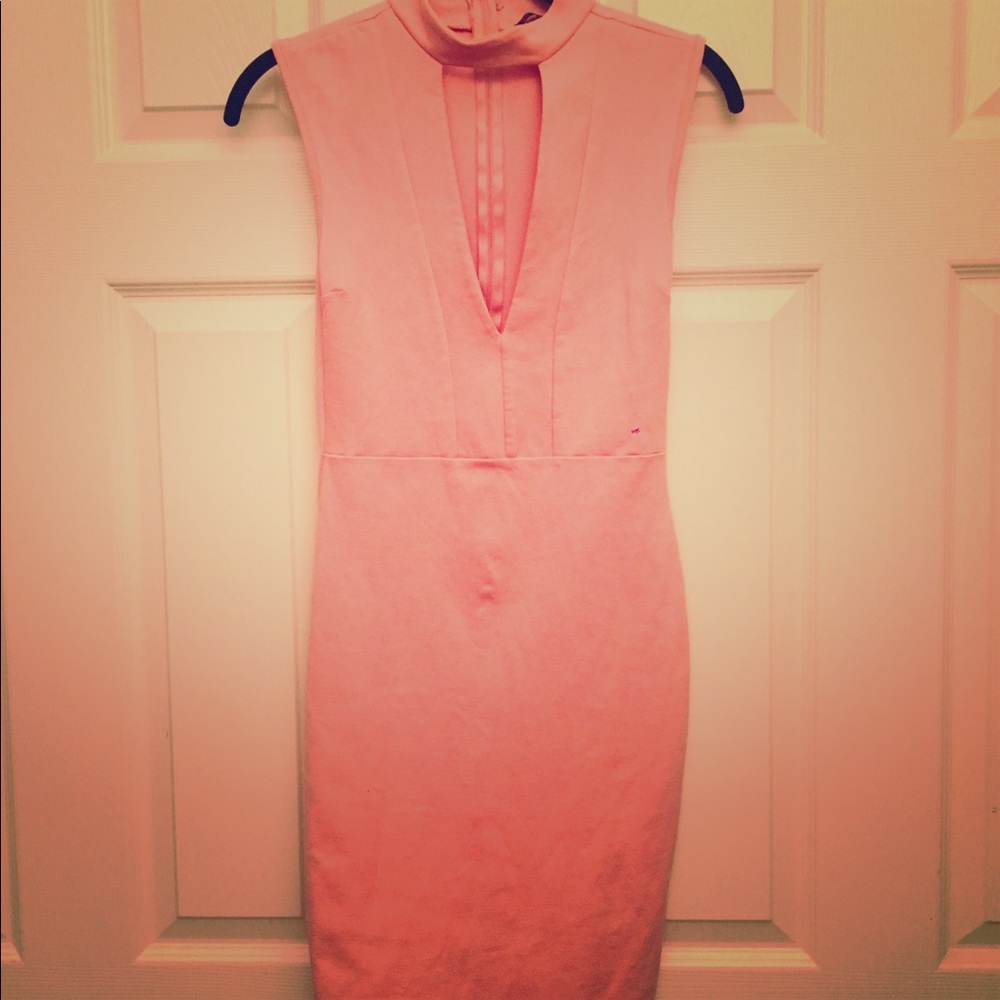 Lette Pink Sleeveless Fitted Dress